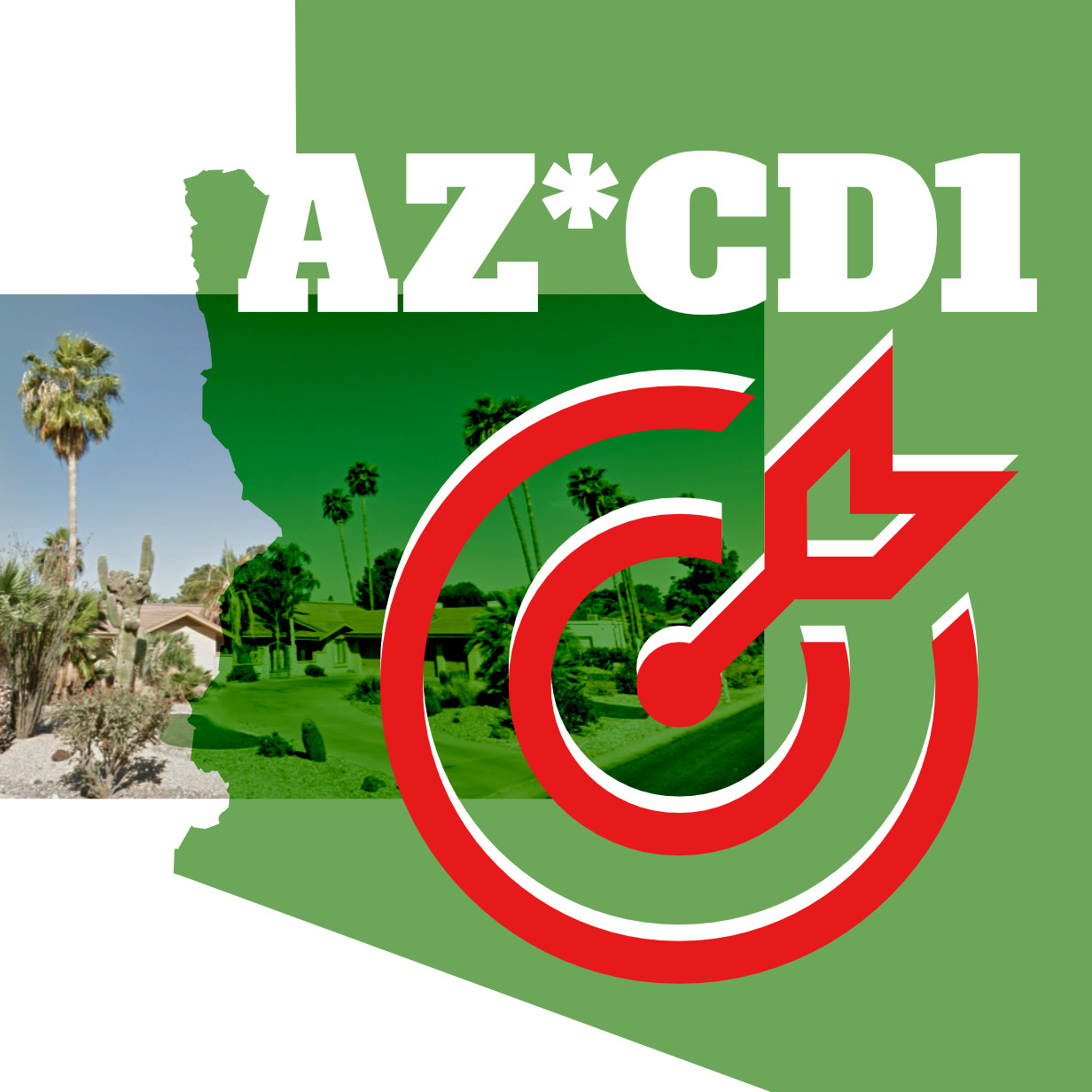 Arizona Congressional District One